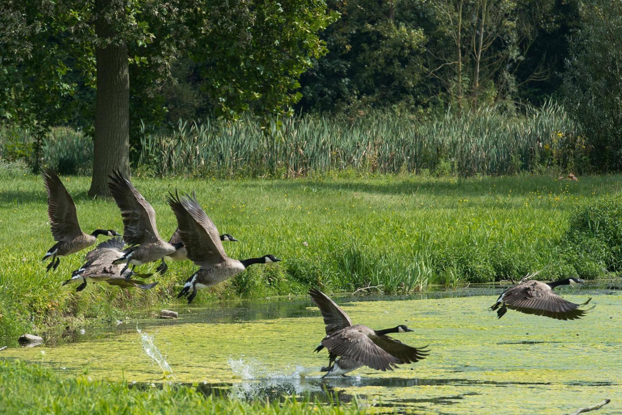 B&B Park7 Wavre - Leuven Huldenberg Buitenkant foto